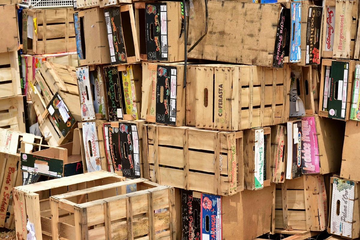 Trasforma il balcone in un’oasi verde: guida pratica per costruire una serra urbana economica