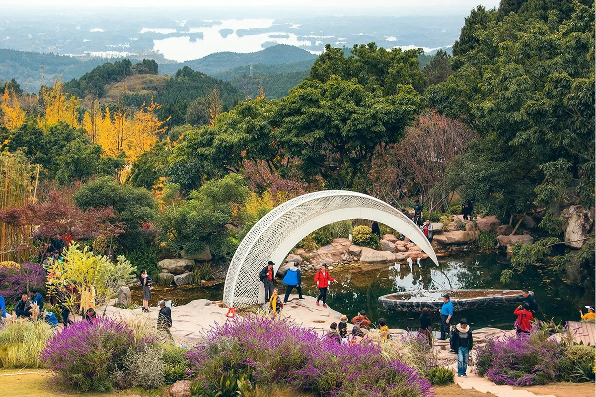 La vite da record sulle montagne del Tibet: resiste da 416 anni a 2.400 metri di altezza