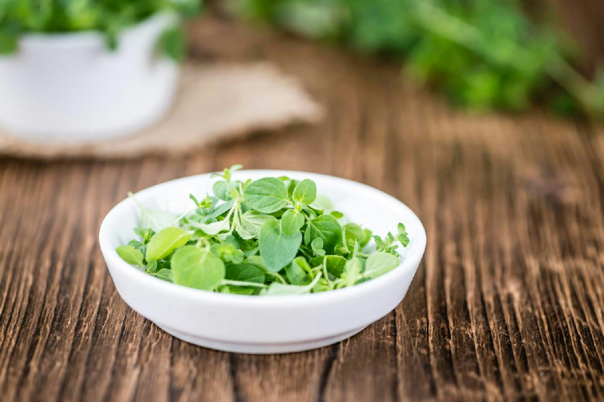 L’insalata che resiste al gelo e trasforma i tuoi piatti d’inverno: coltivala subito sul balcone!