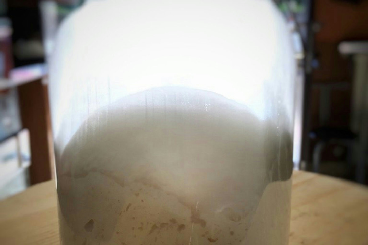 Perché scegliere il lievito giusto trasforma ogni ricetta: dosi precise e trucchi fondamentali