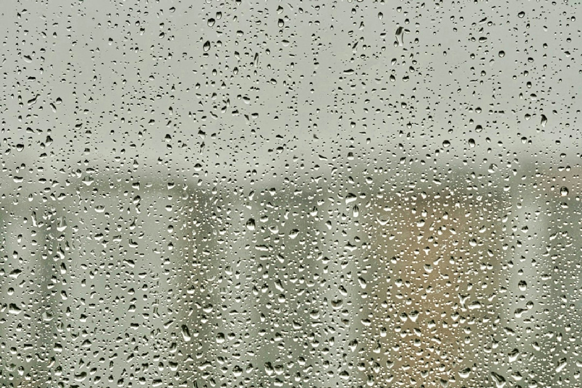 Quando l’umidità invade gli armadi: un rimedio naturale per eliminare la puzza in casa senza fatica